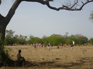 IMGP2735.jpg